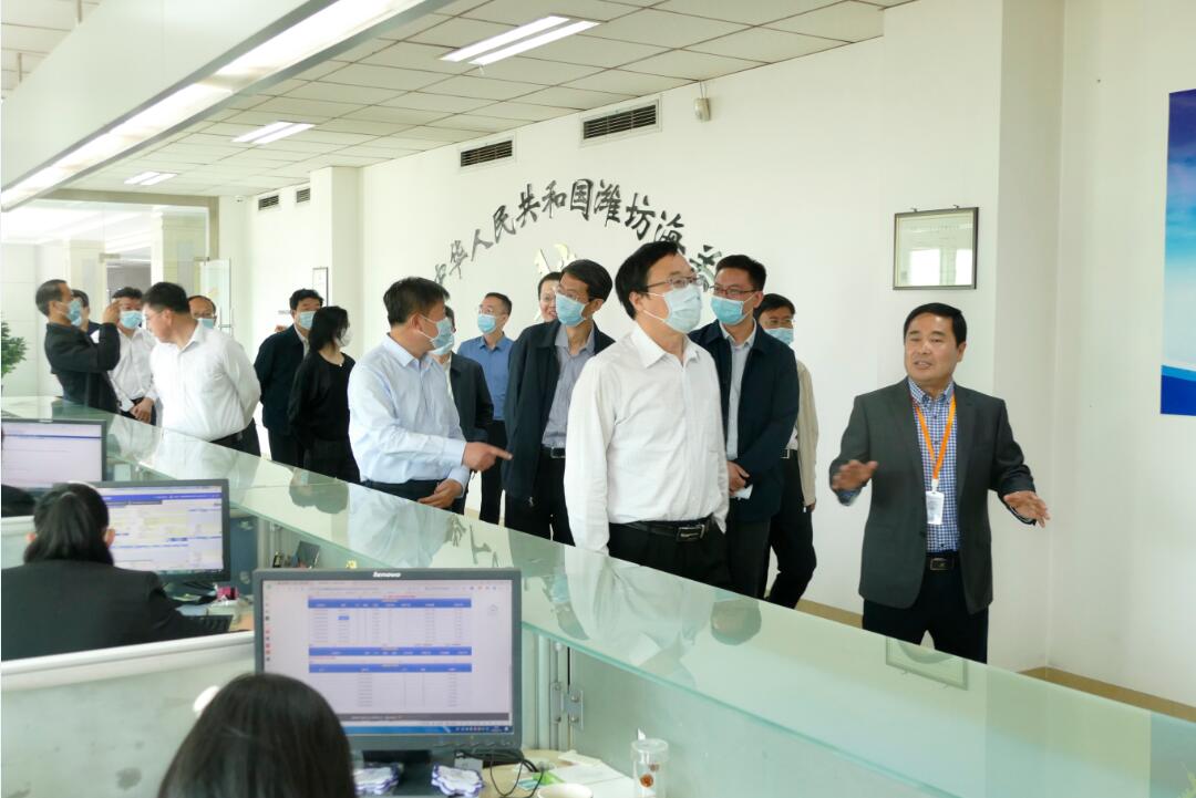 山東省委改革辦調(diào)研組蒞臨晟綺港儲(chǔ)集團(tuán)工作調(diào)研
